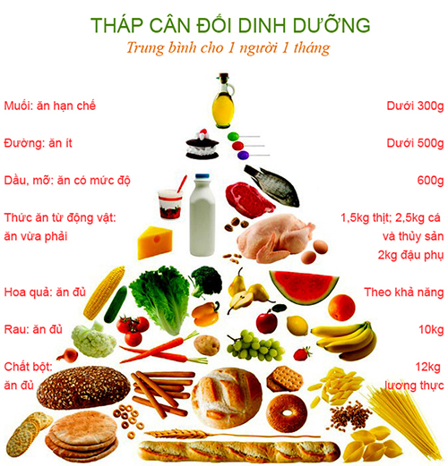 tháp-cân-đối-dinh-dưỡng.jpg